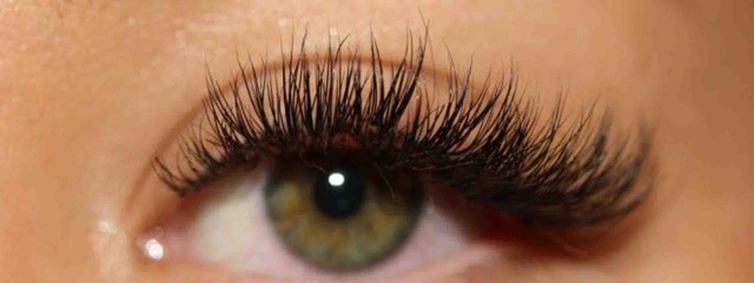 cat eye hybrid lashes extensions