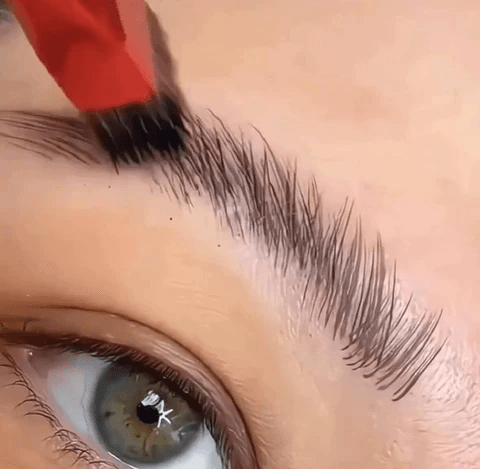 Wild Eyebrow Brush with Eyebrow Powder - LASHSOUL