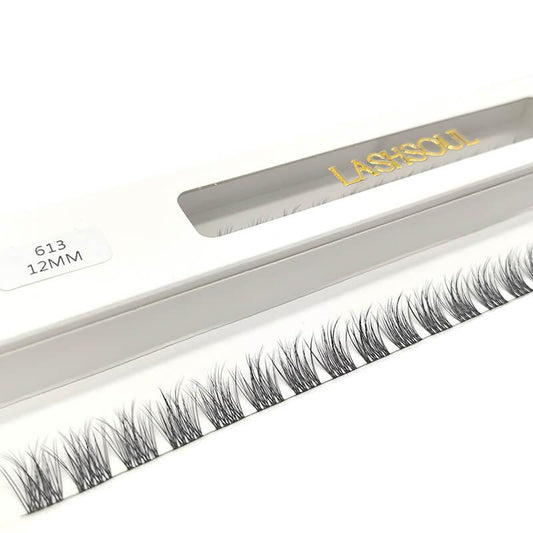 12mm-DIY Lashes Extensions - LASHSOUL